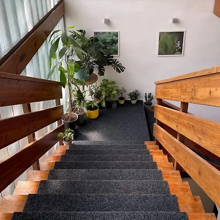 Kozi Horka U Brnenske Prehrady